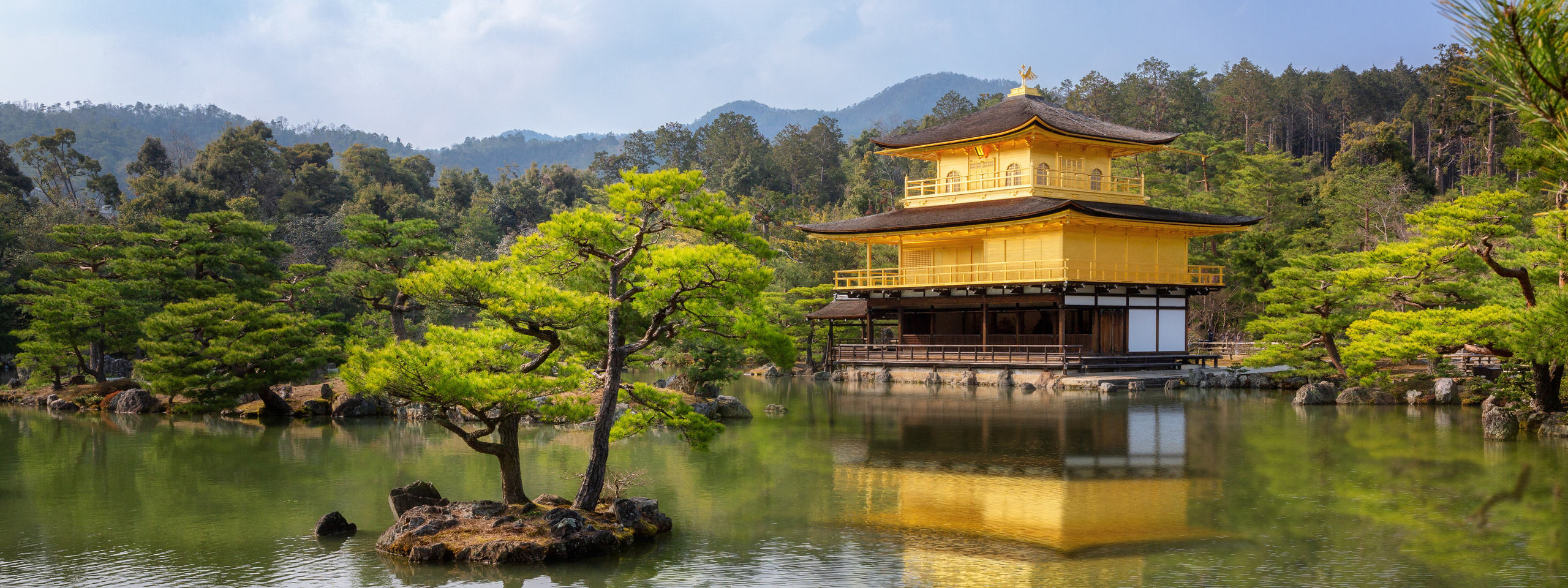 Momiji-gari Season In Japan. Pet, Senior, Landscape, portrait studio, photographer in Miami and Sou