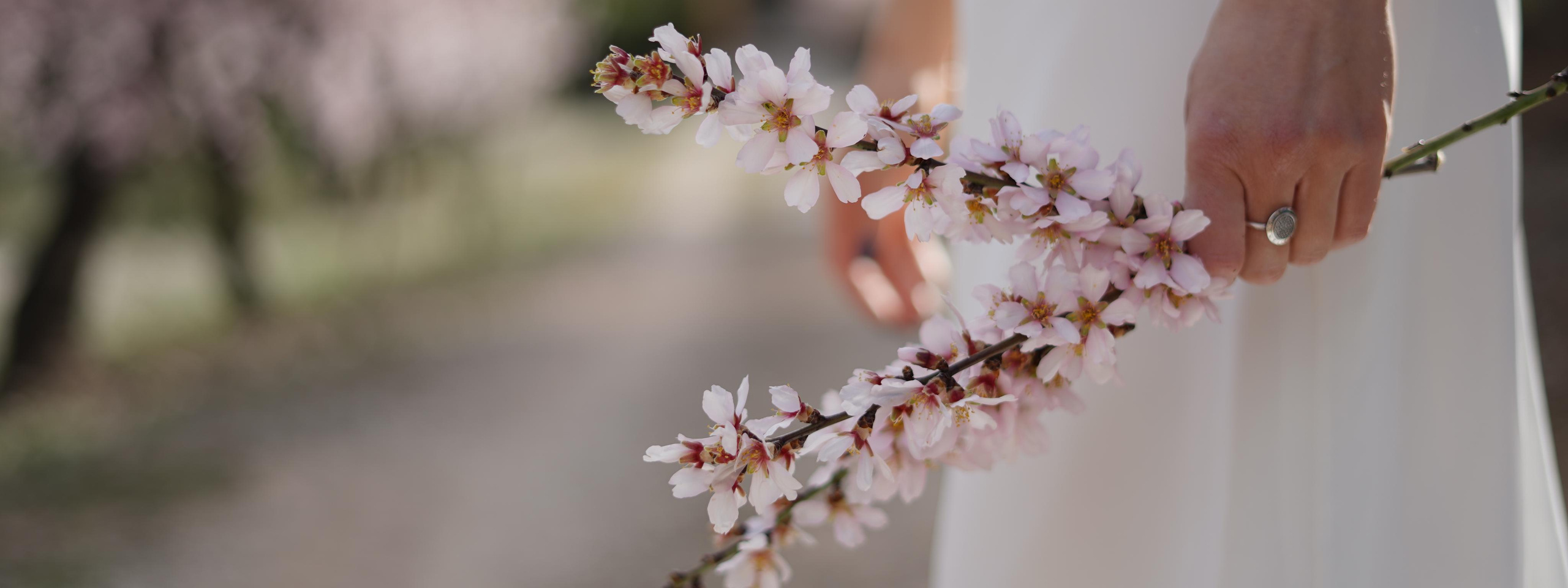 Свадебные съемка | Wedding Prices. Fotografo familiar, bodas, reportaje Diana Memetova Alicante, Benidorm