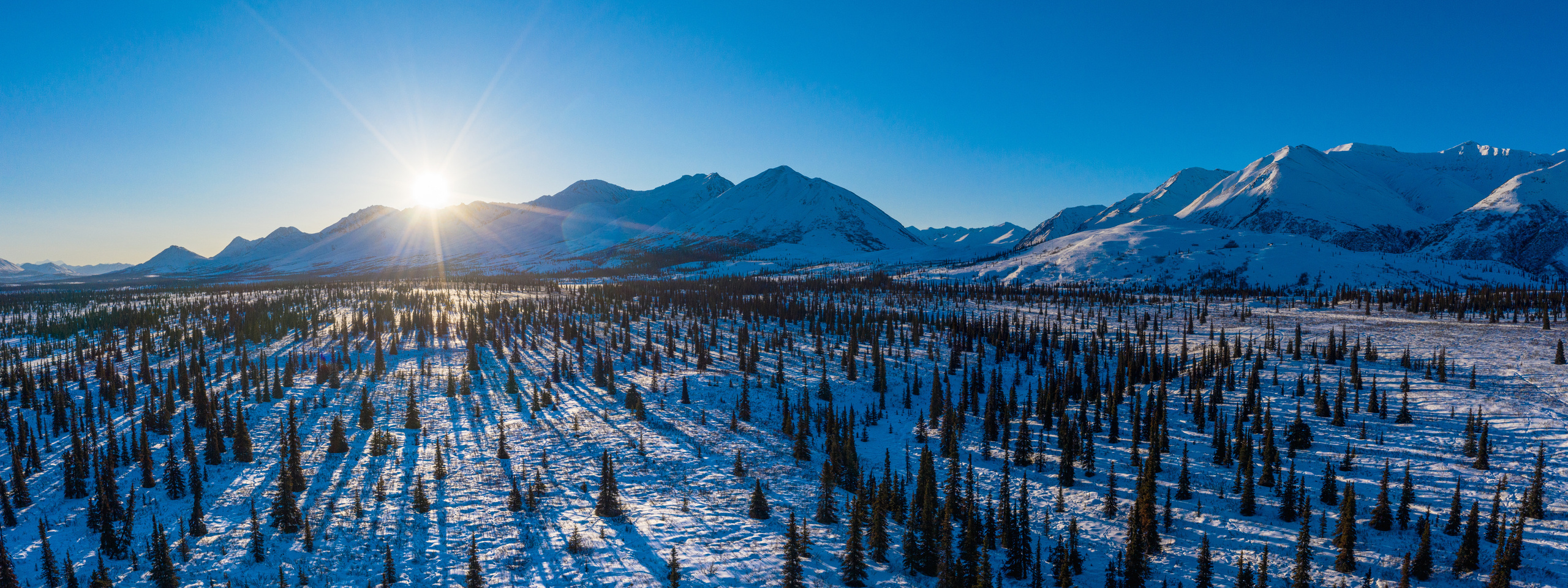 Chasing the Aurora Borealis. Pet, Senior, Landscape, portrait studio, photographer in Miami and Sou