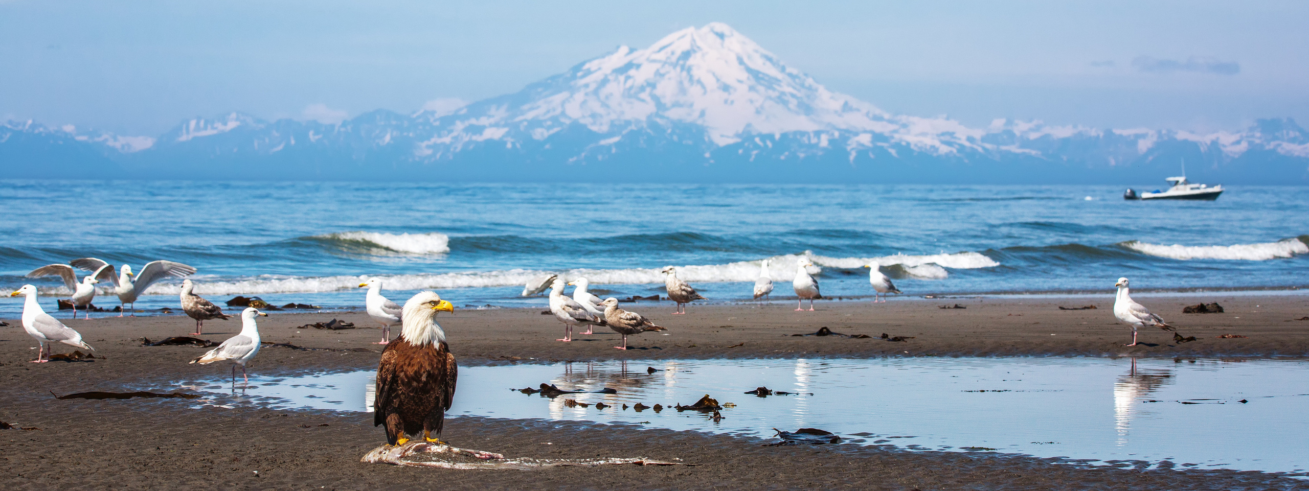 Best Of Alaska. Alex Mironyuk Photography