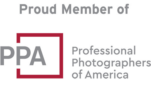 Our Team & Contact. Wedding Photo & Video