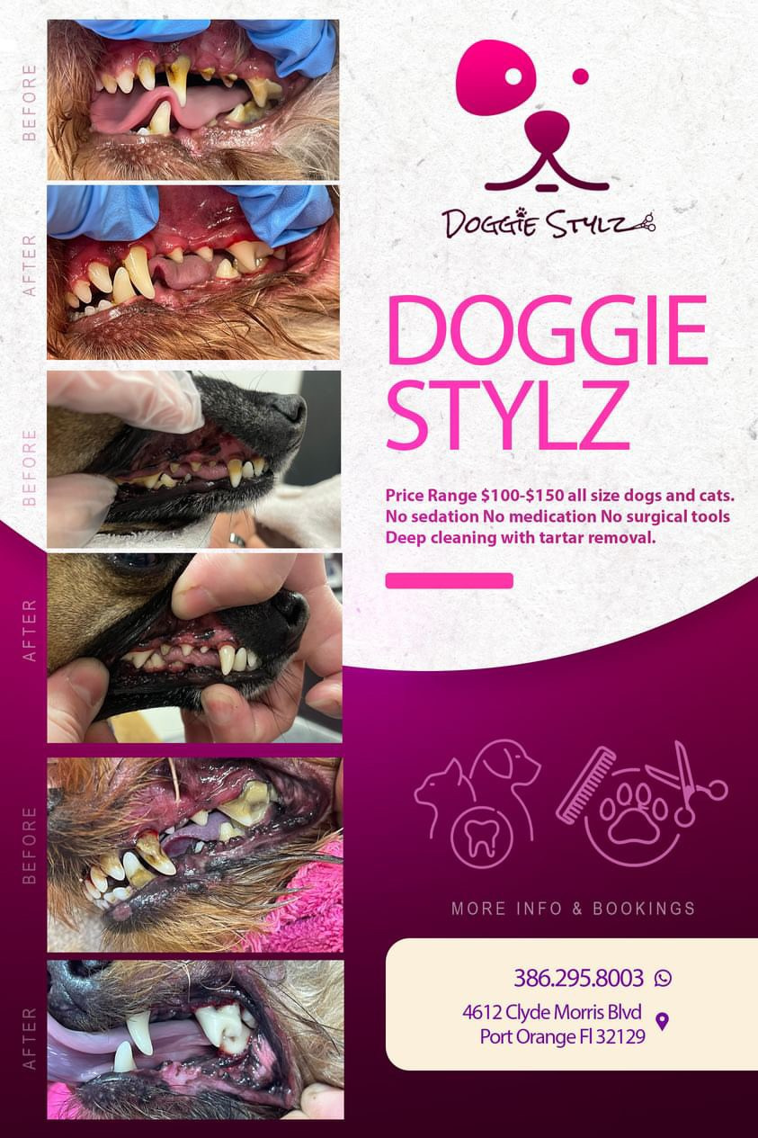 DENTAL. Doggie Stylz Pet Salon