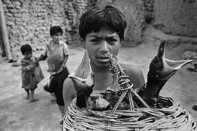 © Ирина Чмырёва / До самого неба. Фотографии Ляли Кузнецовой