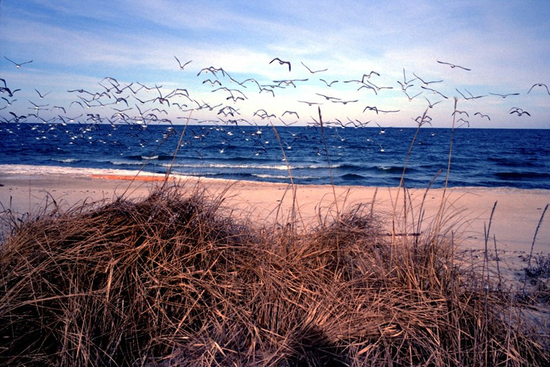 © Эрик Гурлан / Рыбацкая Эстония