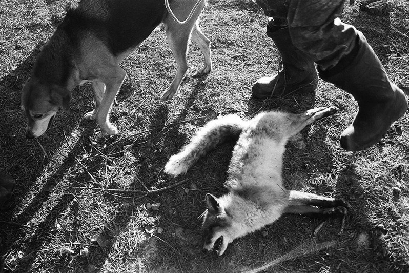 © Миша Масленников / Пограничное тоске. Деревня Погост, Пудожский район, Карелия, Россия. Январь 2009