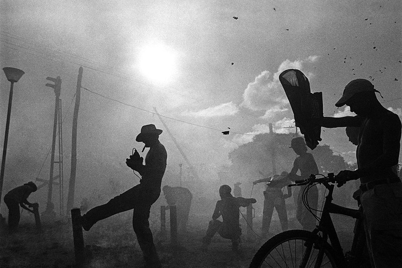 © Билл Шапиро / Рауль Каньибано. Познакомьтесь с этим фотографом