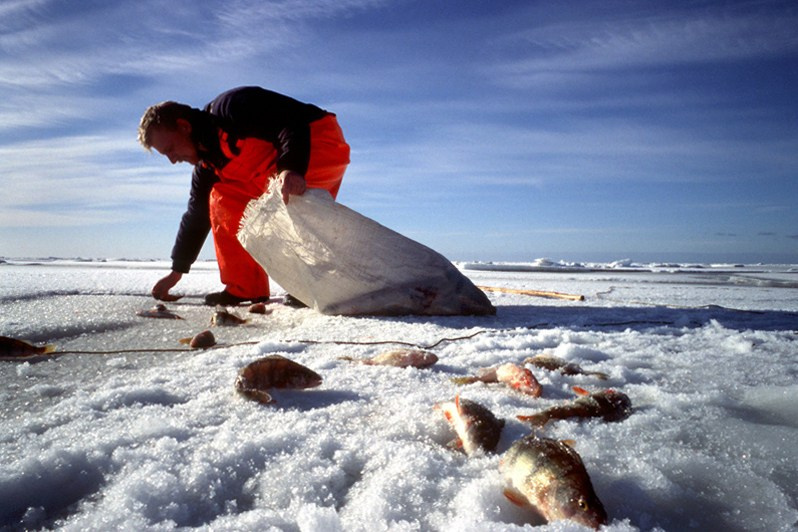 © Эрик Гурлан / Рыбацкая Эстония