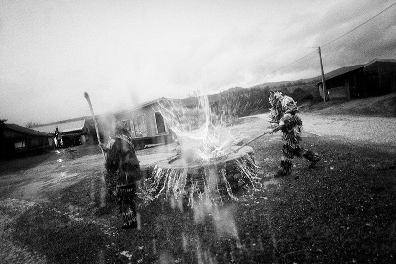 © Paulo Nunes / Metamorphoses