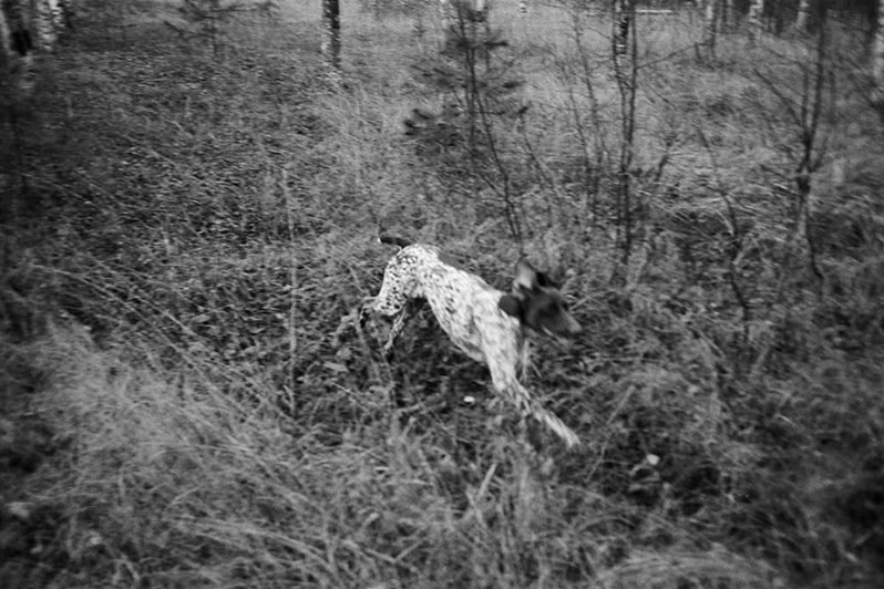 © Миша Масленников / Пограничное тоске. Деревня Погост, Пудожский район, Карелия, Россия. Январь 2009