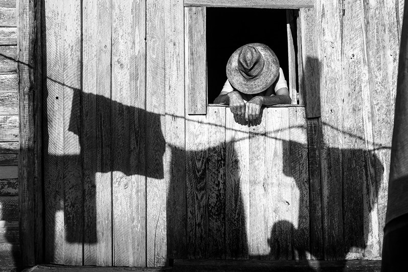 © Билл Шапиро / Рауль Каньибано. Познакомьтесь с этим фотографом