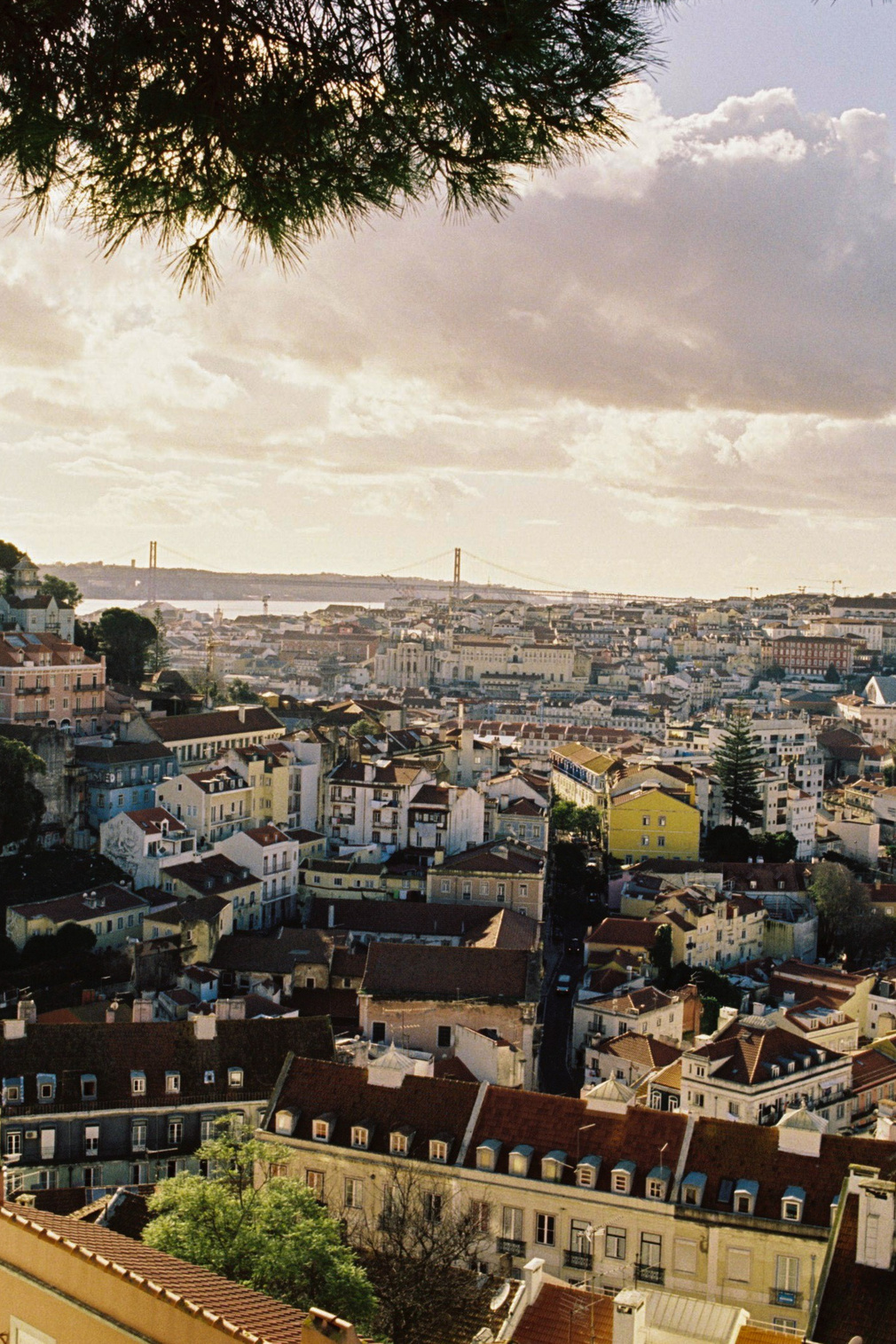 Lilit Danielyan — Photographer, Filmmaker, and Educator in Lisbon, Portugal