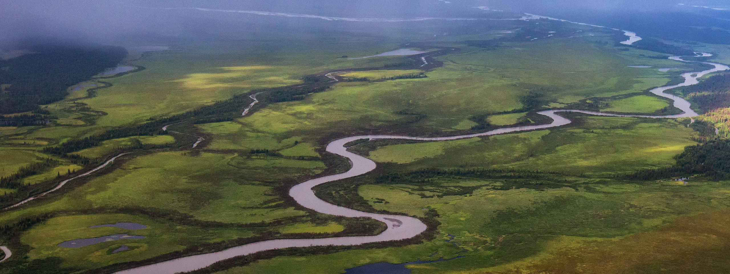 Alaska-2019. Alex Mironyuk Photography