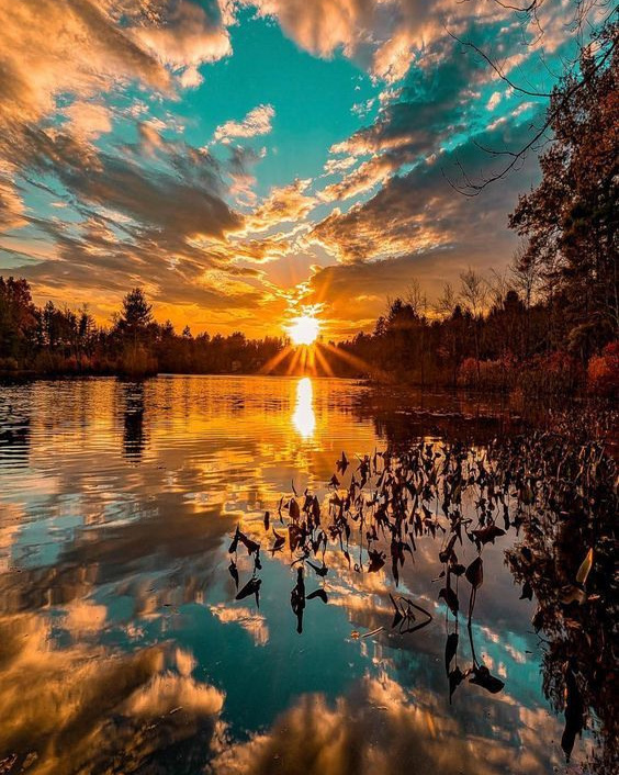 Kurs „Licht-Leiter“. Heilung und Transformation auf allen Ebenen des Bewusstseins