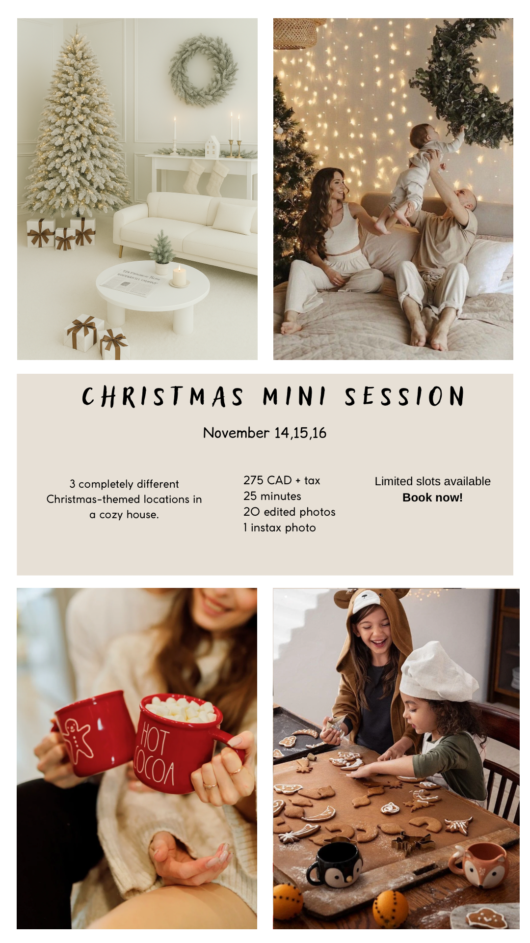 Christmas minis 2025. Home