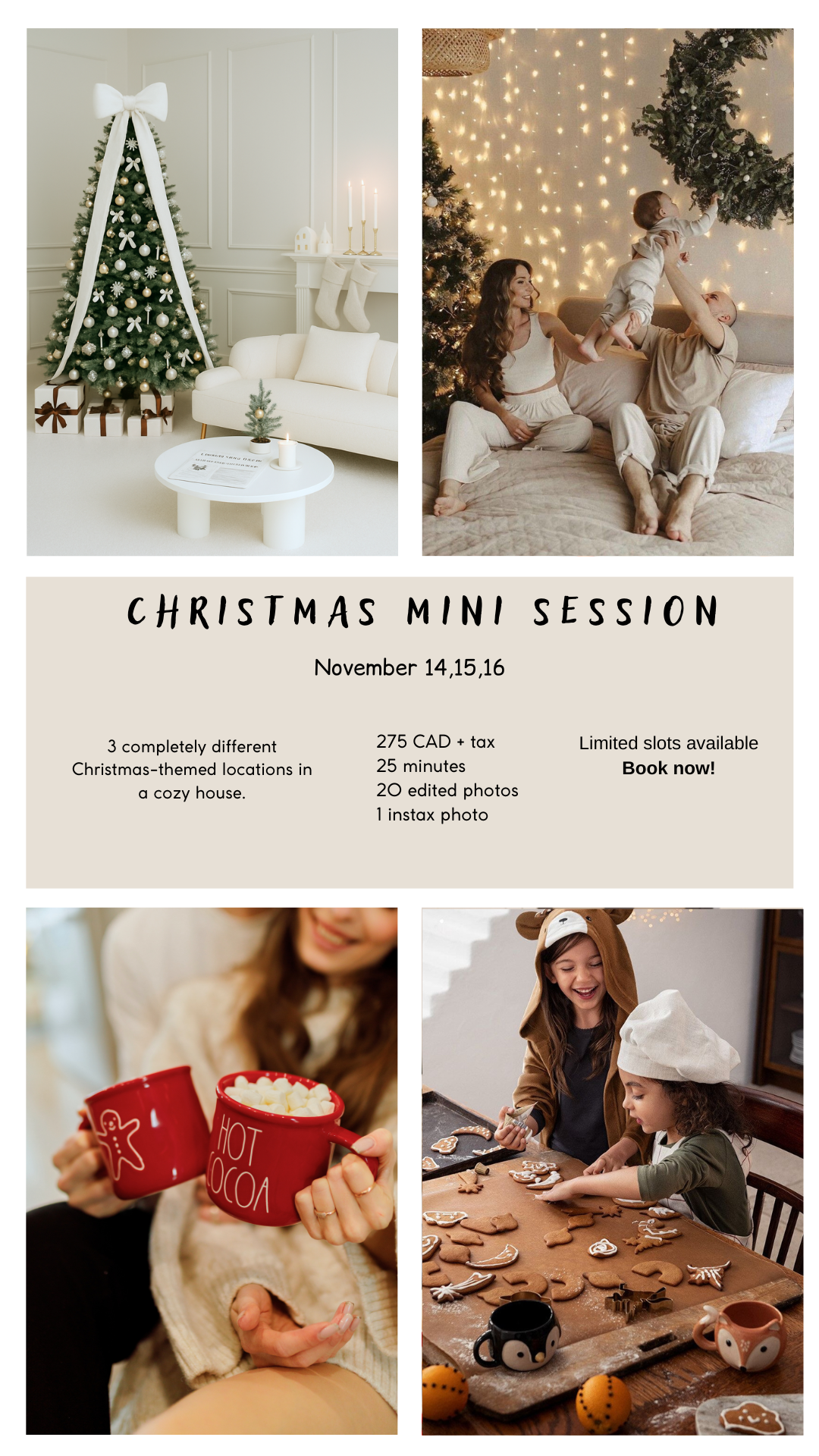 Christmas minis 2025. Home