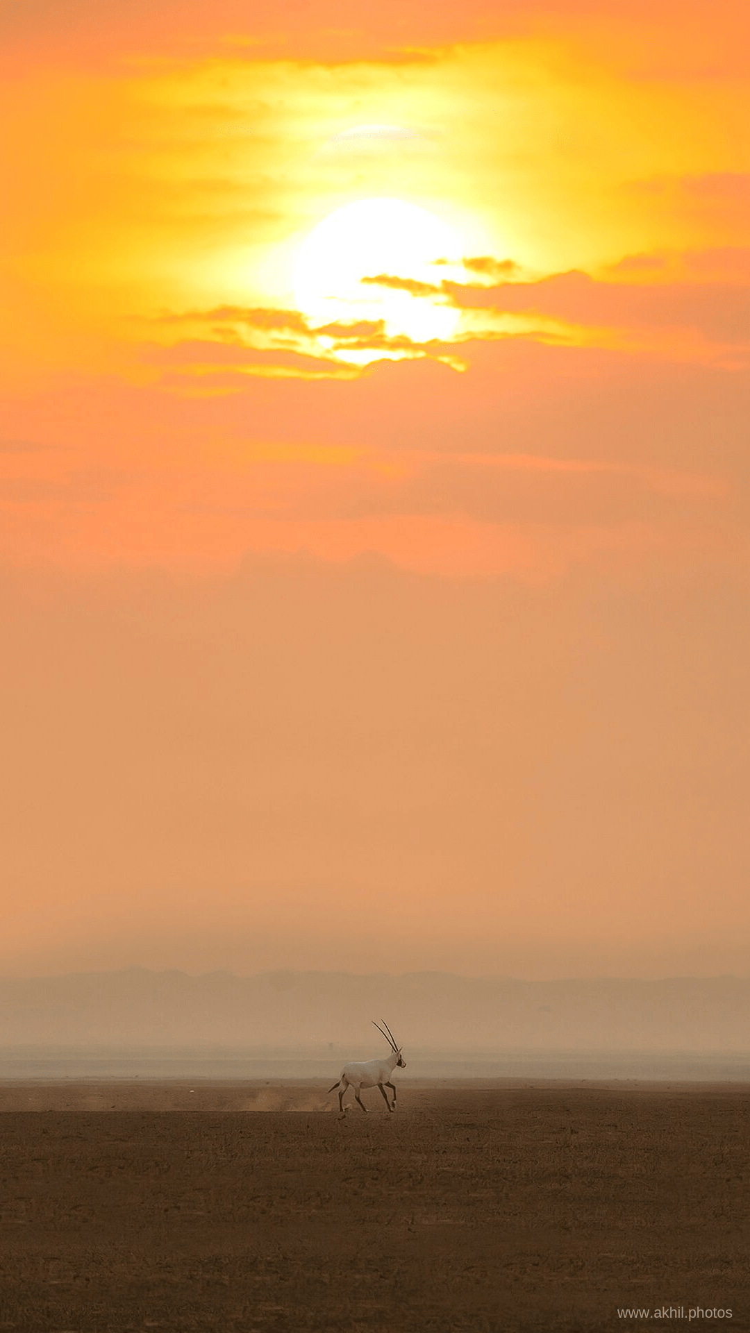 FREE PHONE WALLPAPERS | AKHIL VINAYAK MENON PHOTOGRAPHY. Akhil Vinayak Menon Photography