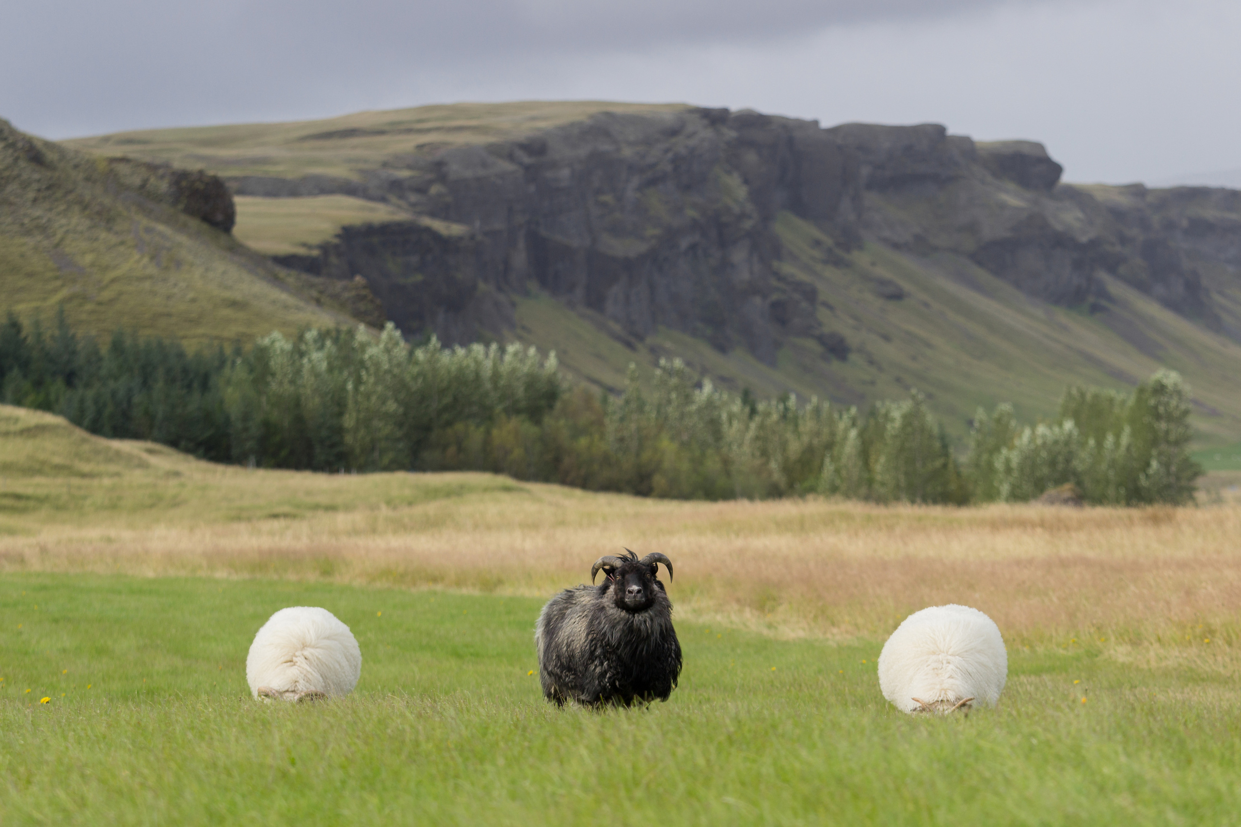 Iceland. Photographer ~ based in vilnius ~