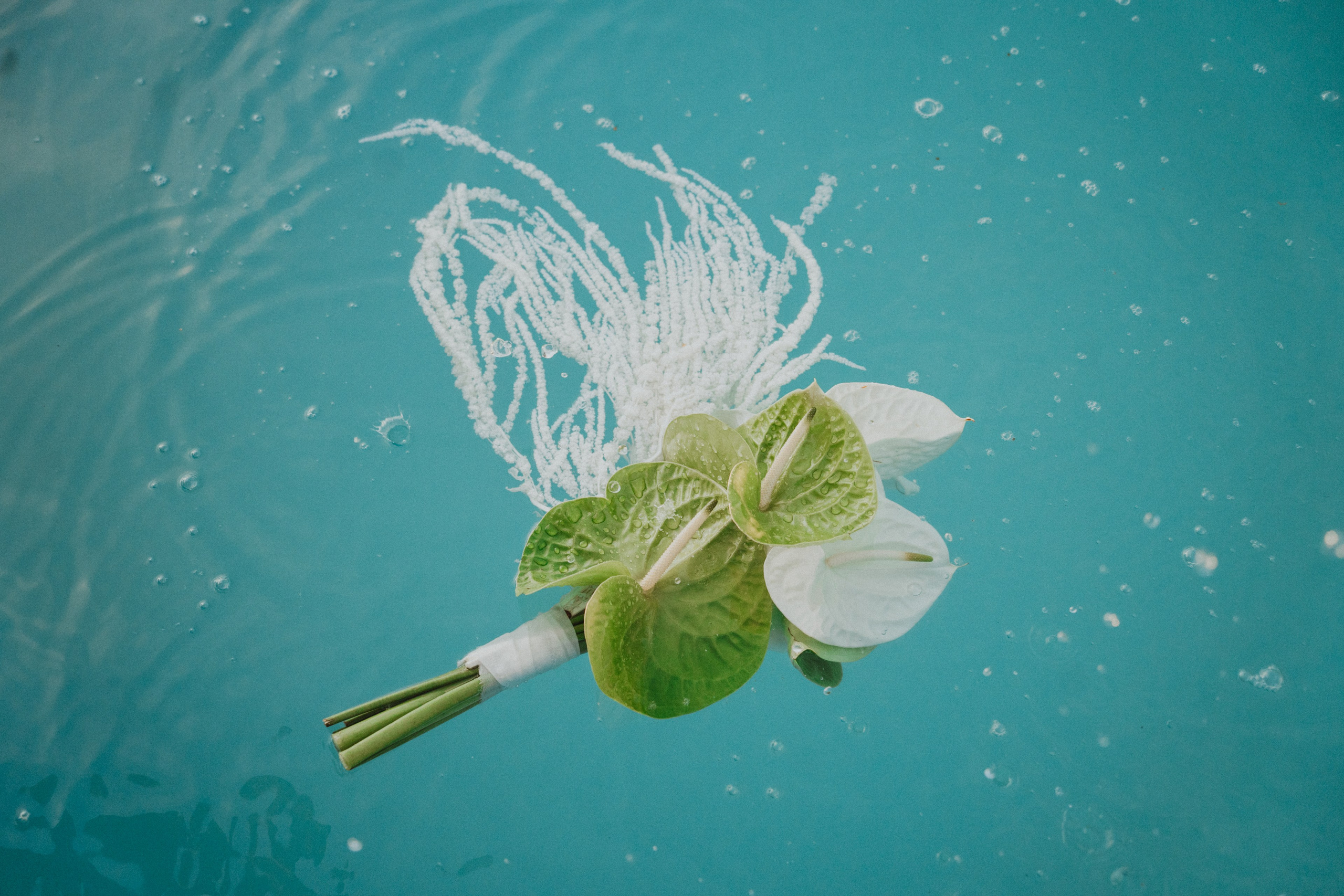 Svatby. Jana Holubová | Svatební, párová a rodinná fotografka v Praze