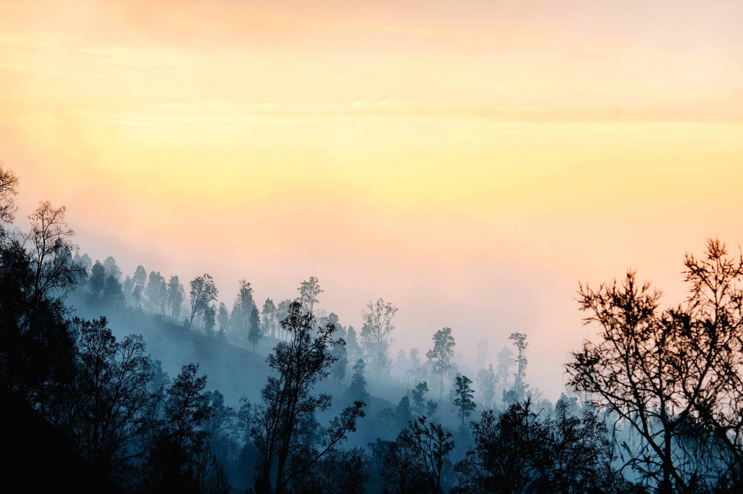 Wedding family photographer Alicante Benidorm Valencia Costa Blanca
