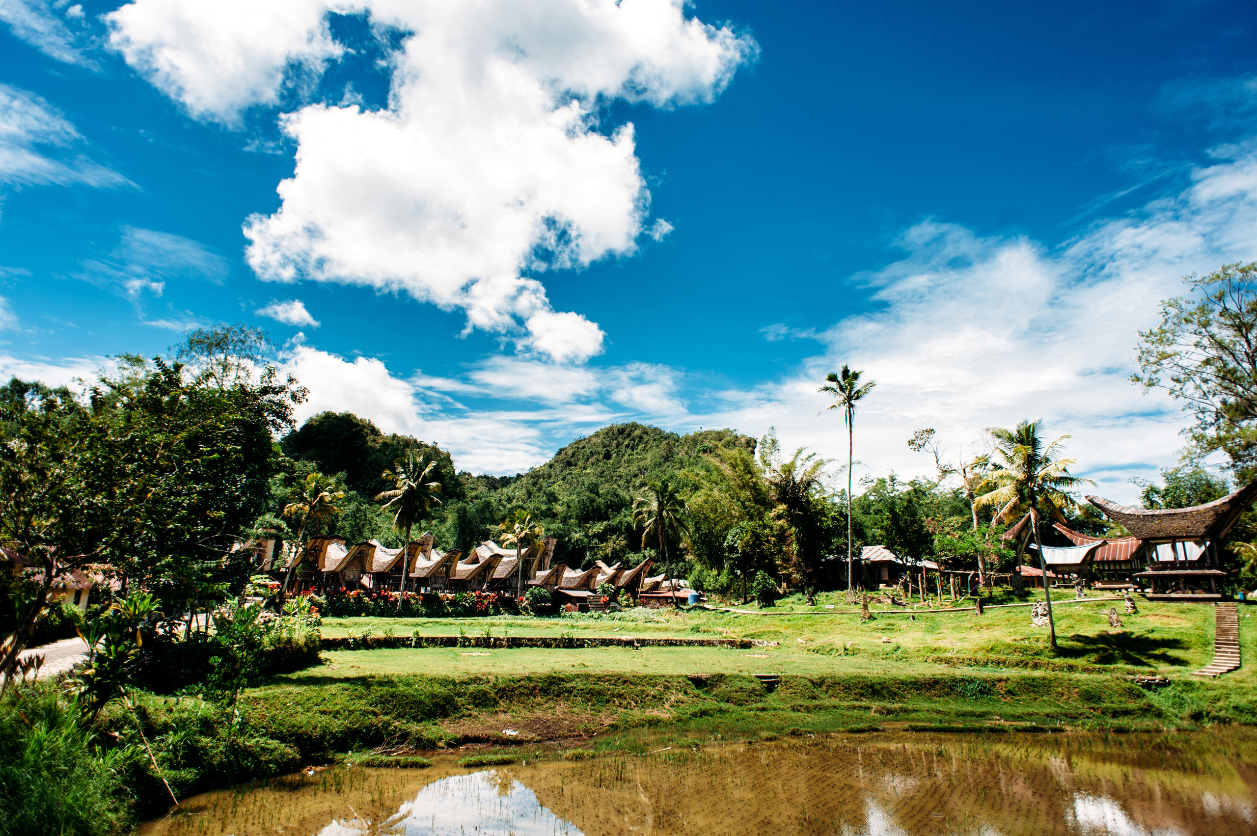 Wedding family photographer Alicante Benidorm Valencia Costa Blanca