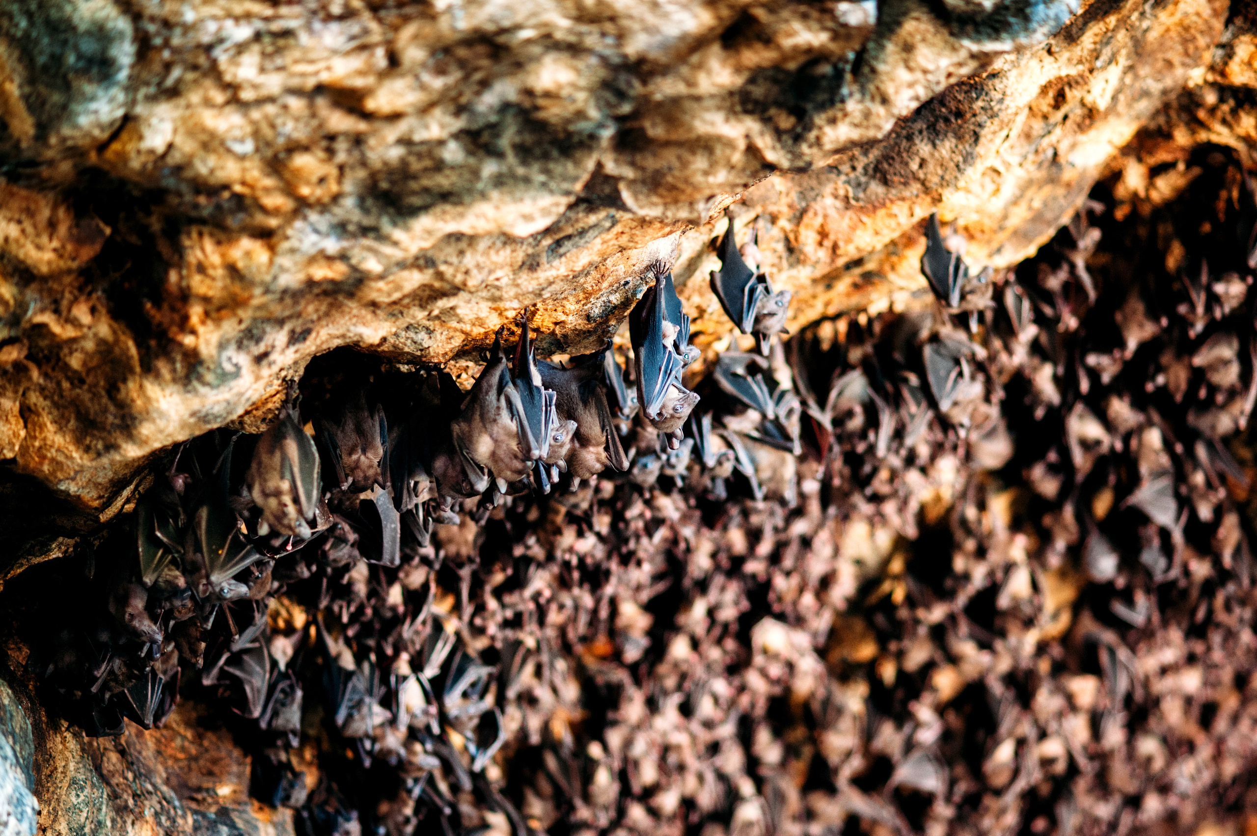 Wedding family photographer Alicante Benidorm Valencia Costa Blanca