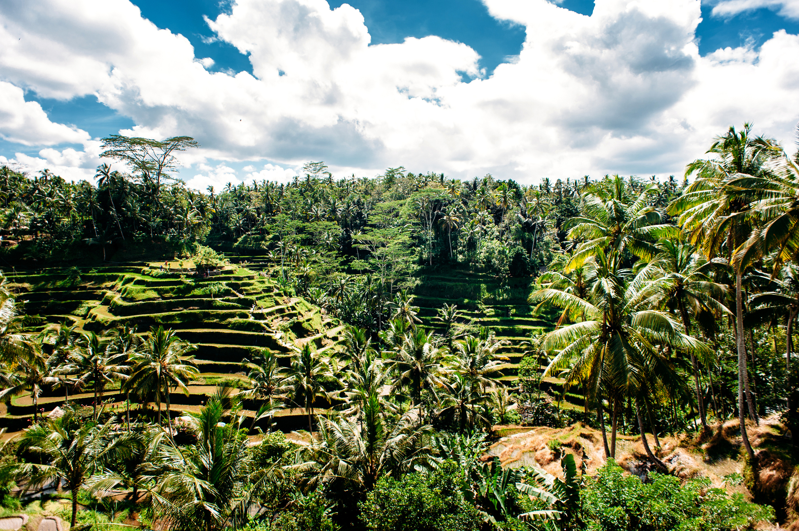 Wedding family photographer Alicante Benidorm Valencia Costa Blanca
