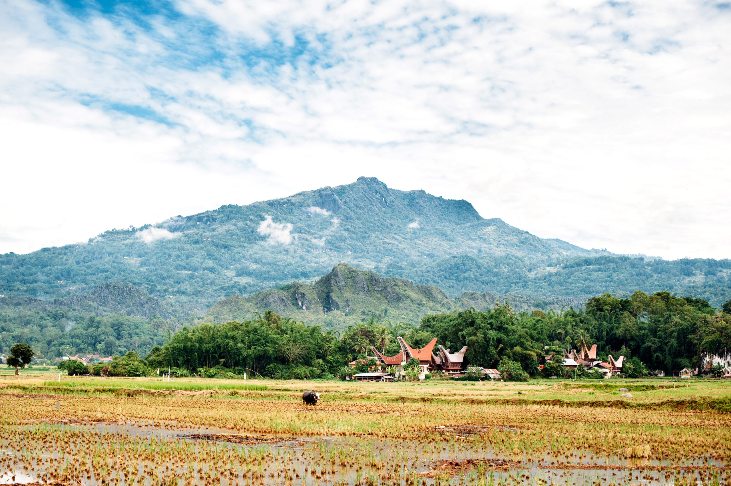 Wedding family photographer Alicante Benidorm Valencia Costa Blanca
