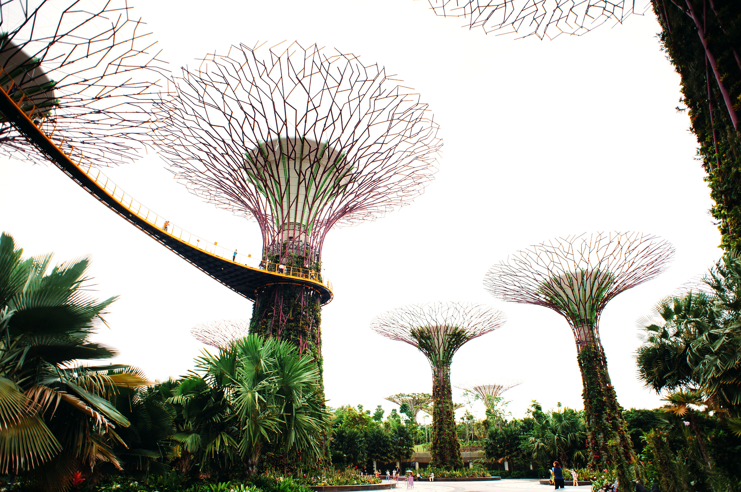 Wedding family photographer Alicante Benidorm Valencia Costa Blanca