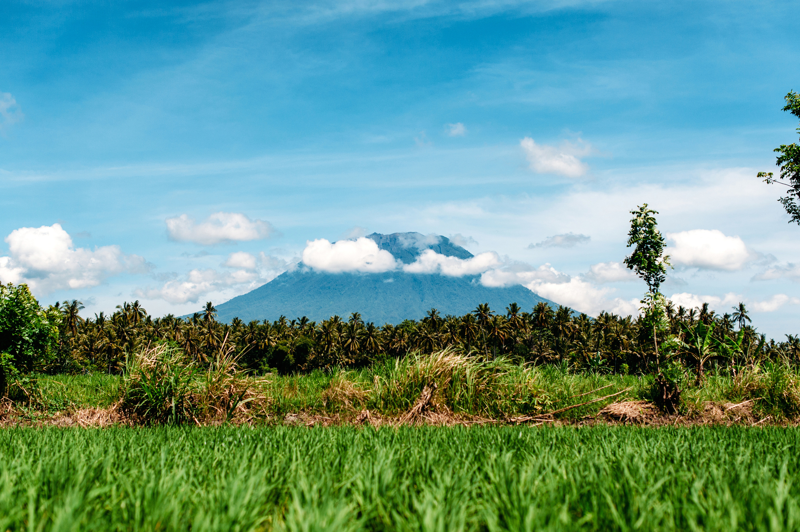 Wedding family photographer Alicante Benidorm Valencia Costa Blanca