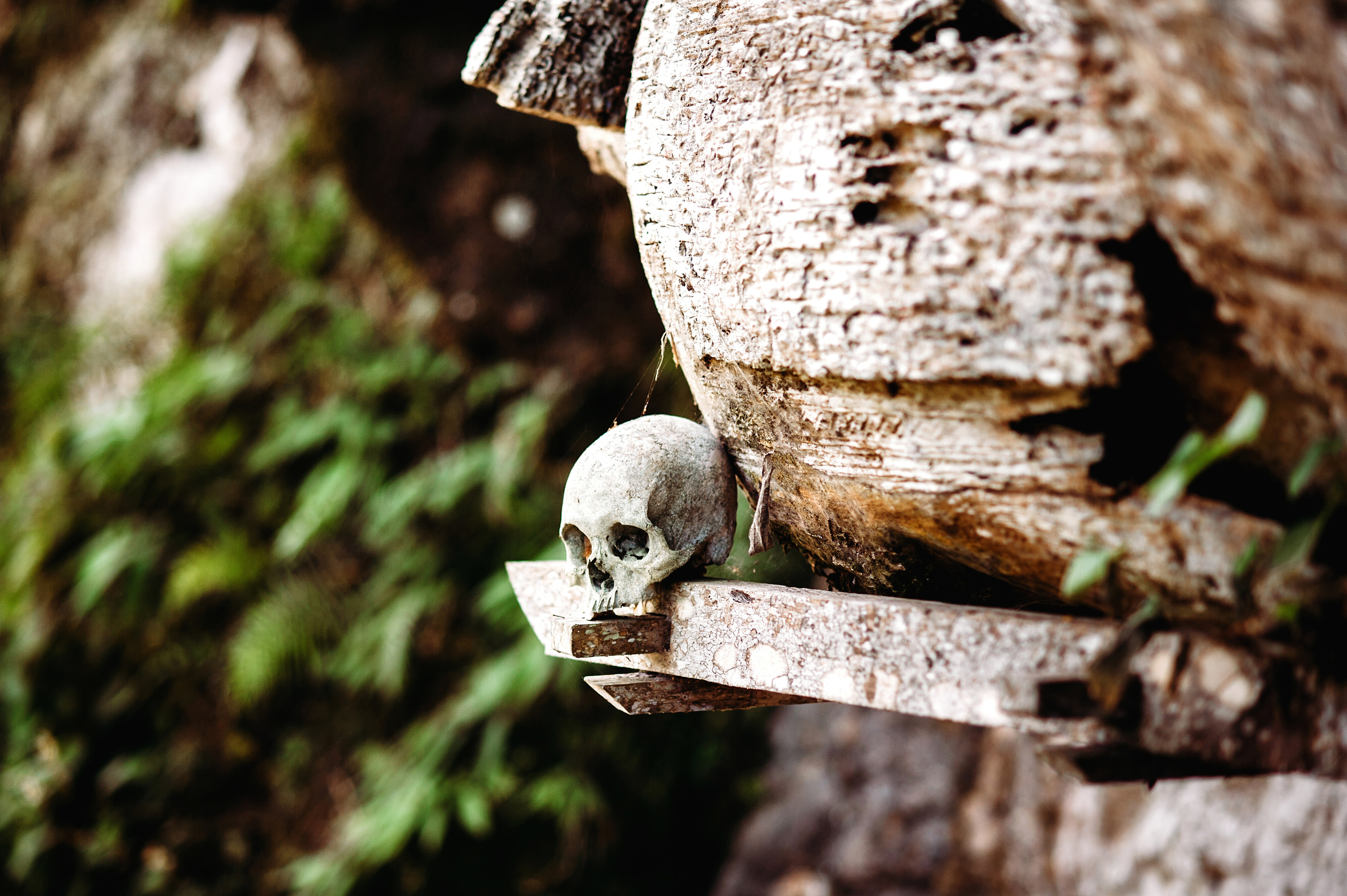 Wedding family photographer Alicante Benidorm Valencia Costa Blanca