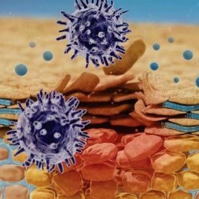 Korneotherapie. Kosmetikstudio Victoria Becker