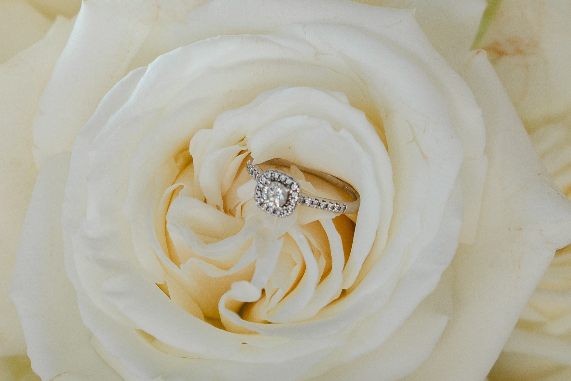 Services. Eikanmedia | Photographer and videographer capturing weddings, families, engagements, pregnancy & newborns | Vancouver, WA | USA