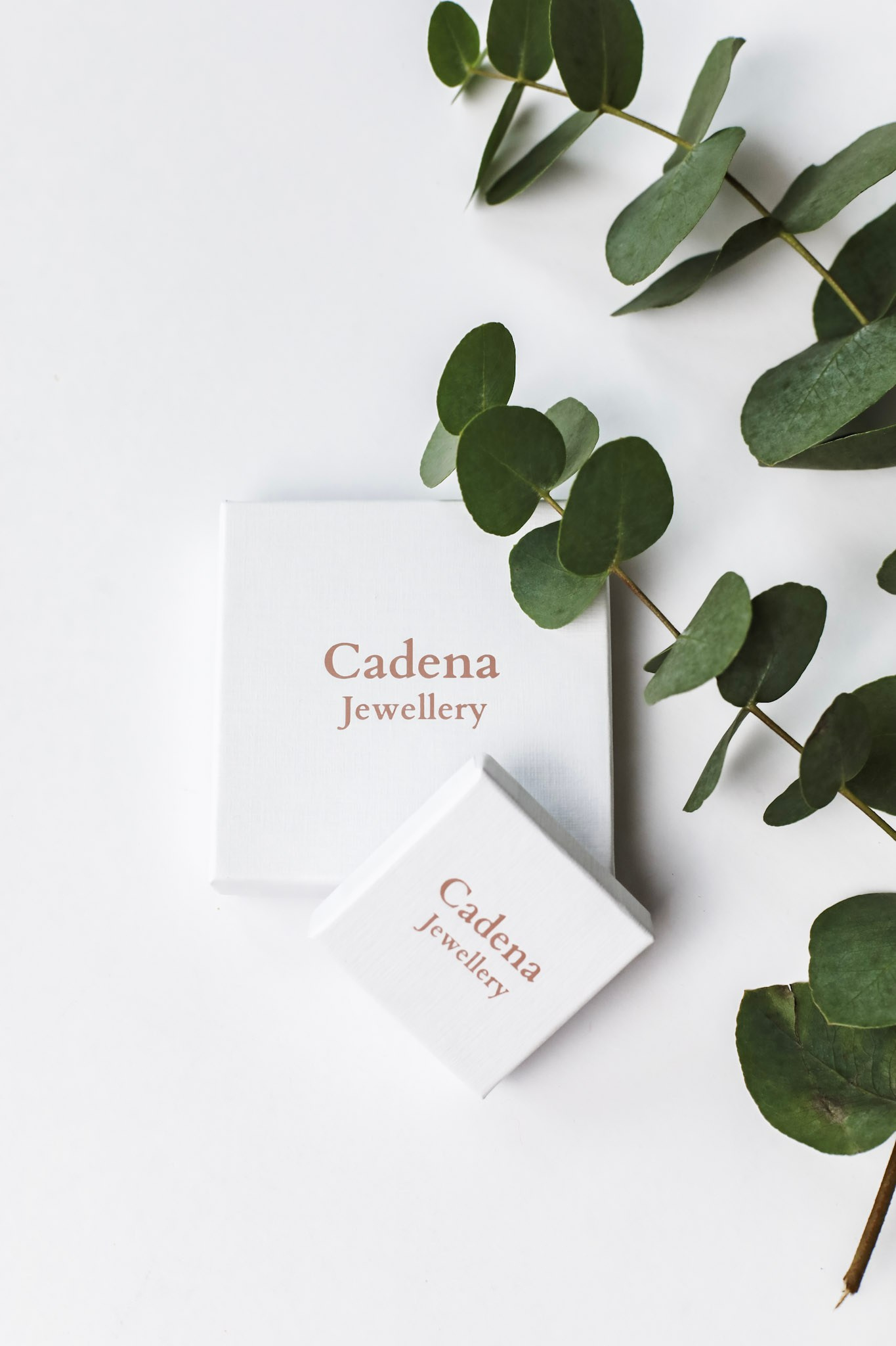 Product Photography