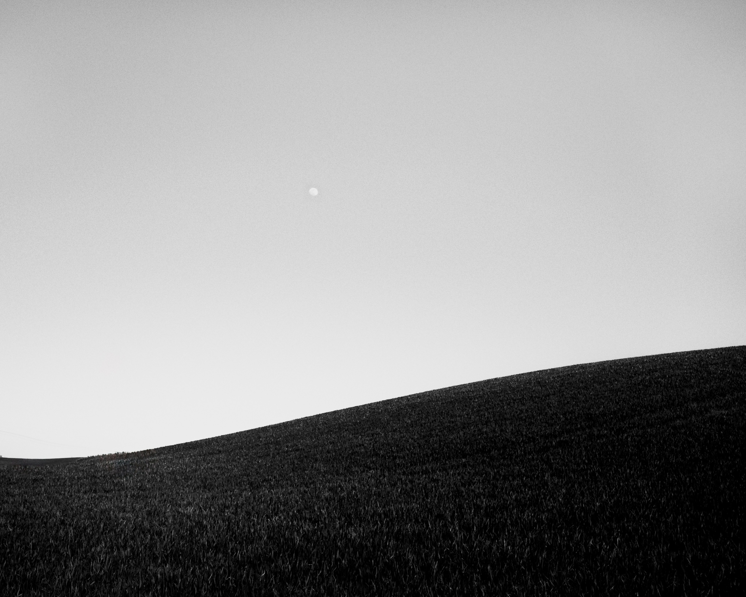 Fine Art. W LAB 192 | Davide Vichi