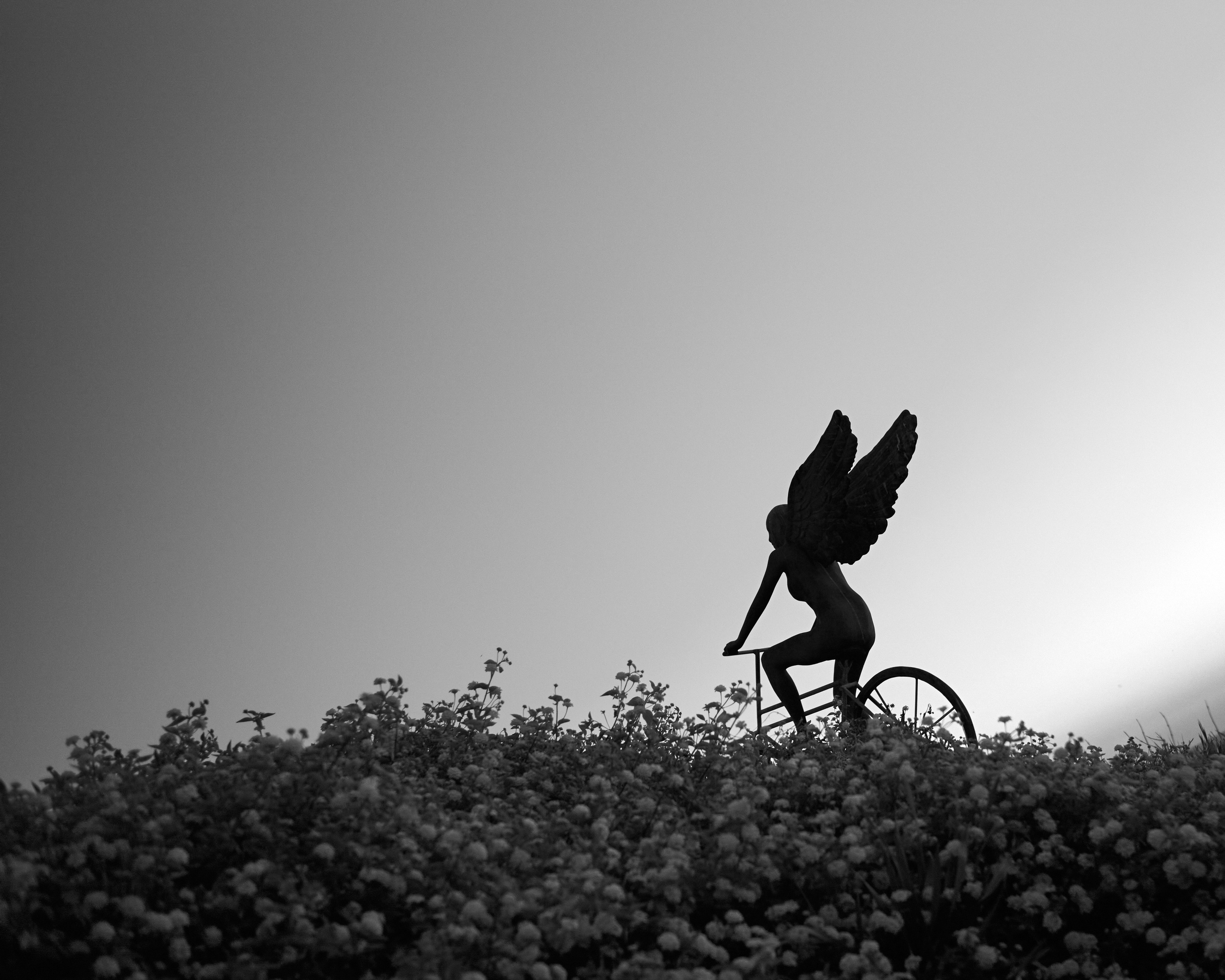 DISTROTION. Daniil Khaitseer photography