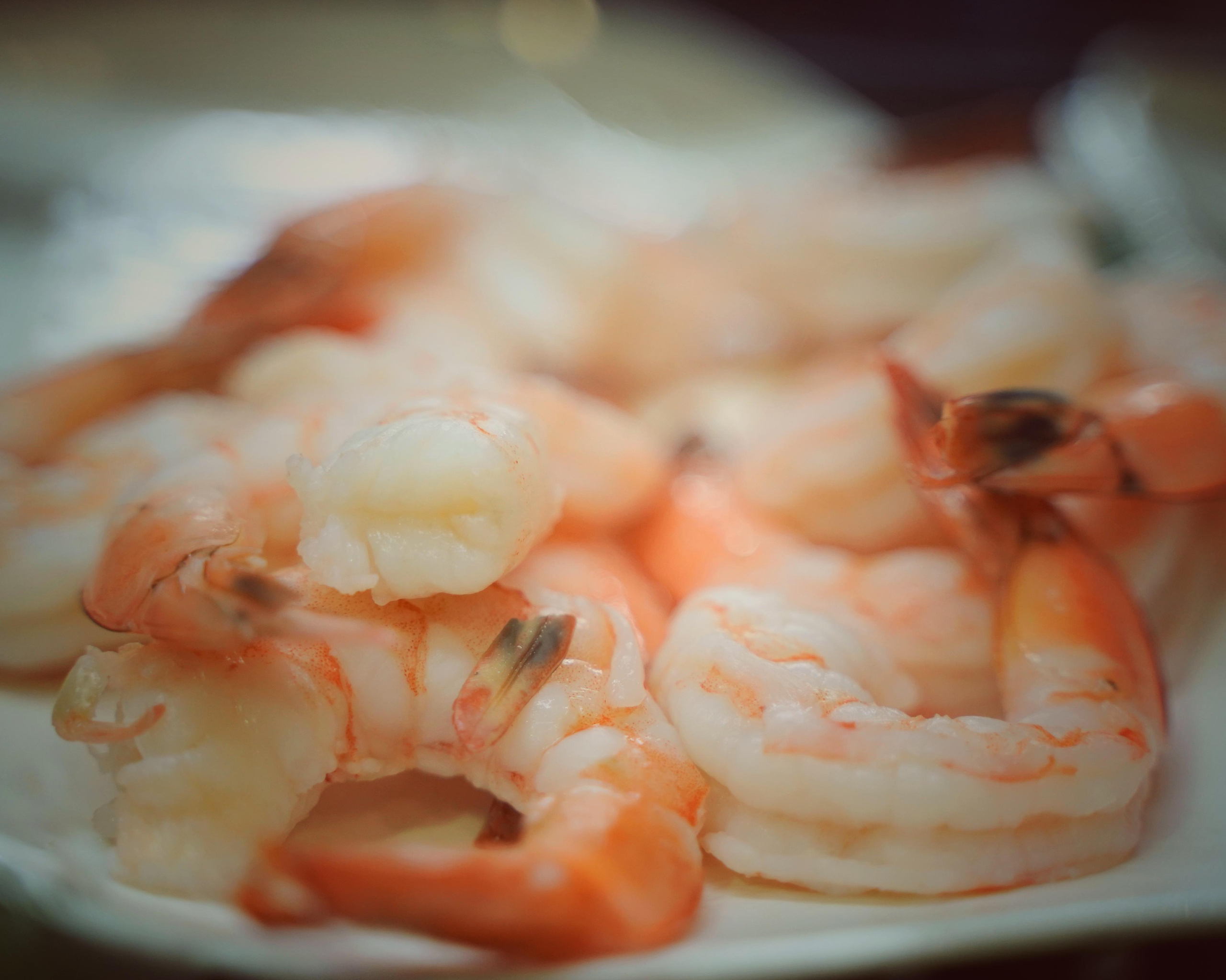 Услуги | מחירון. Фотограф. Визуал. Хайфа. Талья Цветкова