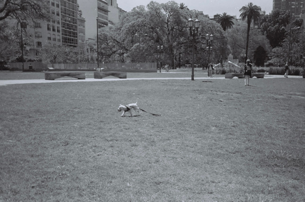 Film. Portrait photographer in Argentina