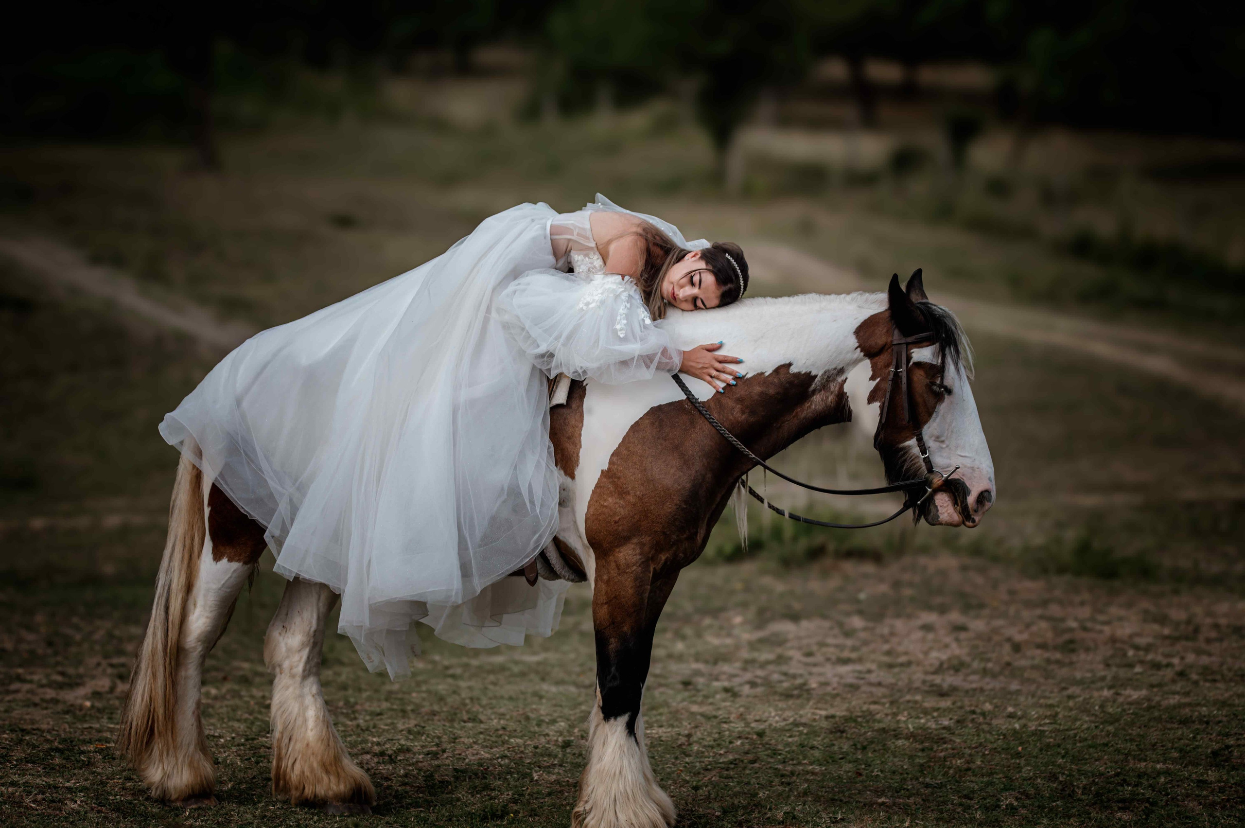 Sedinta Foto After Wedding Adriana & Gabi. Sabin Florin Fotograf Nunta
