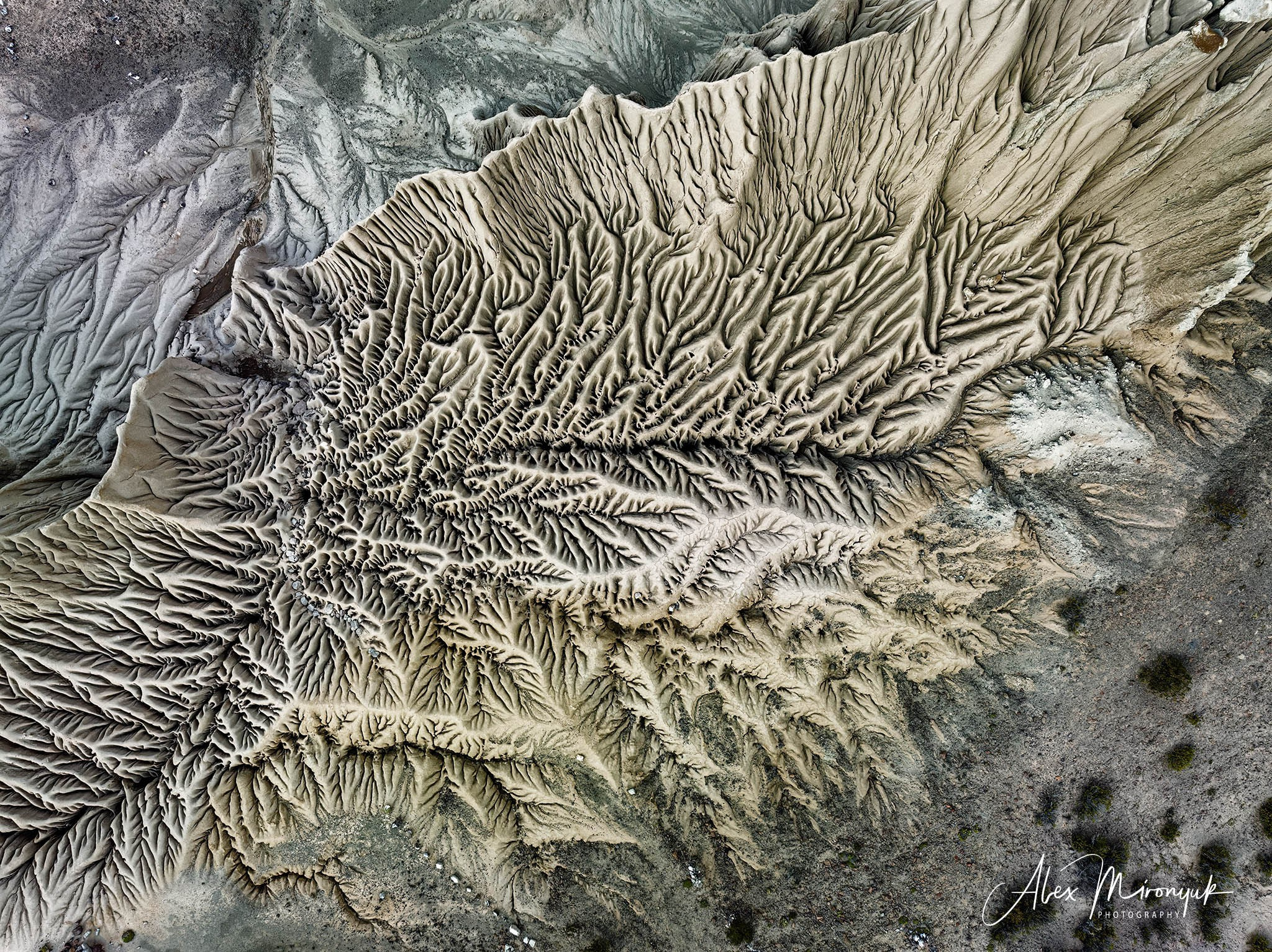 Bolivia Adventure — 2025. Pet, Senior, Landscape, portrait studio, photographer in Miami and Sou