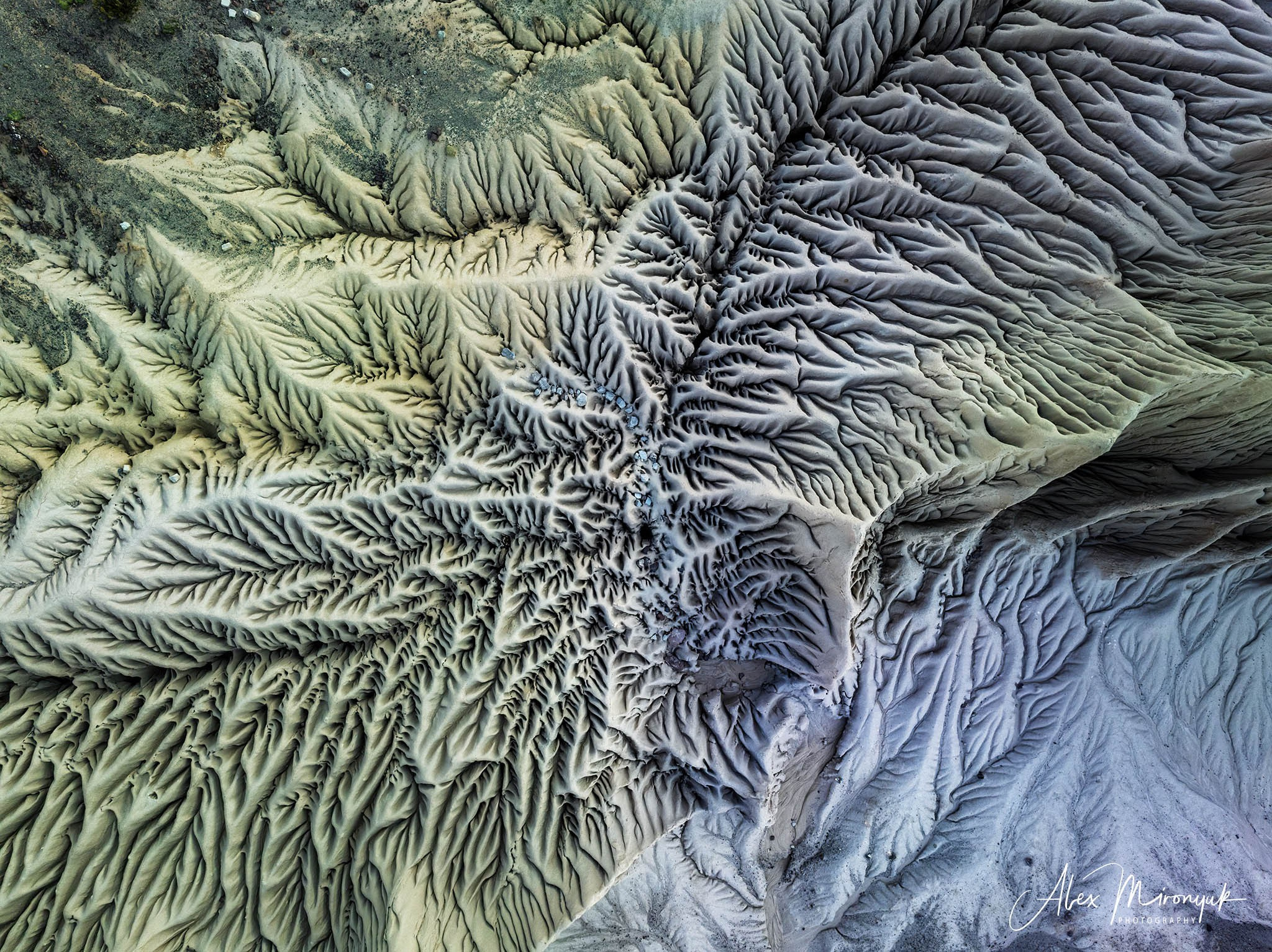 Bolivia Adventure — 2025. Pet, Senior, Landscape, portrait studio, photographer in Miami and Sou