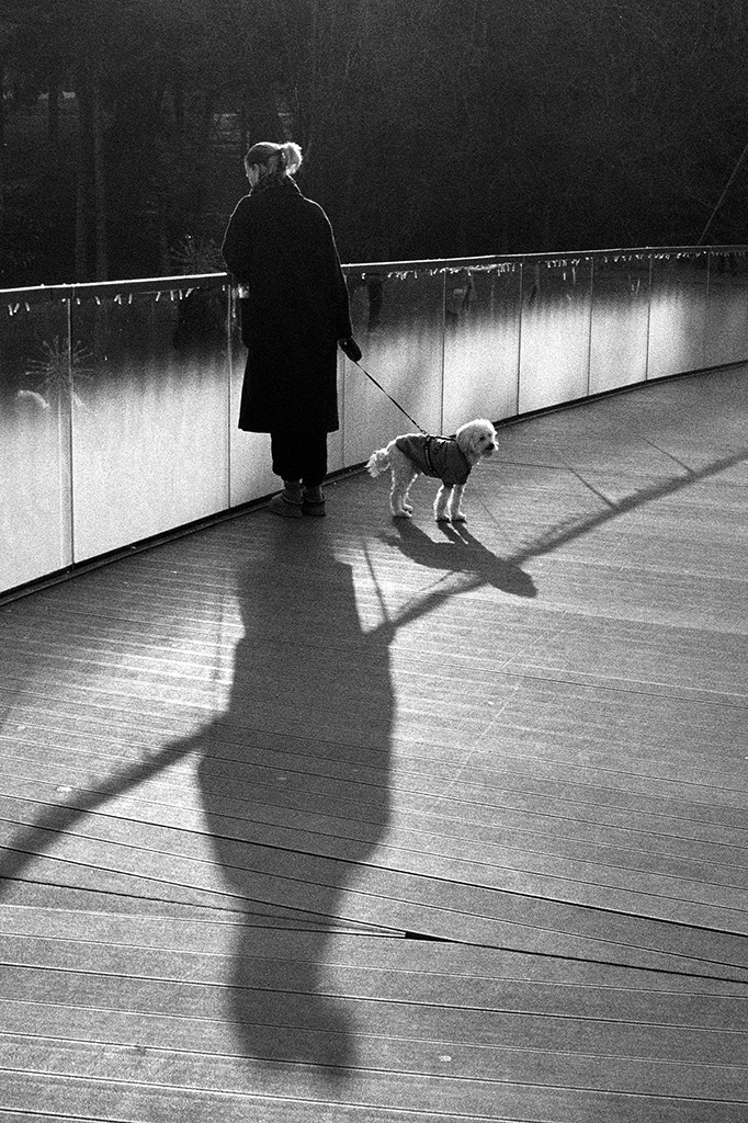 Photography by Mircea Maieru