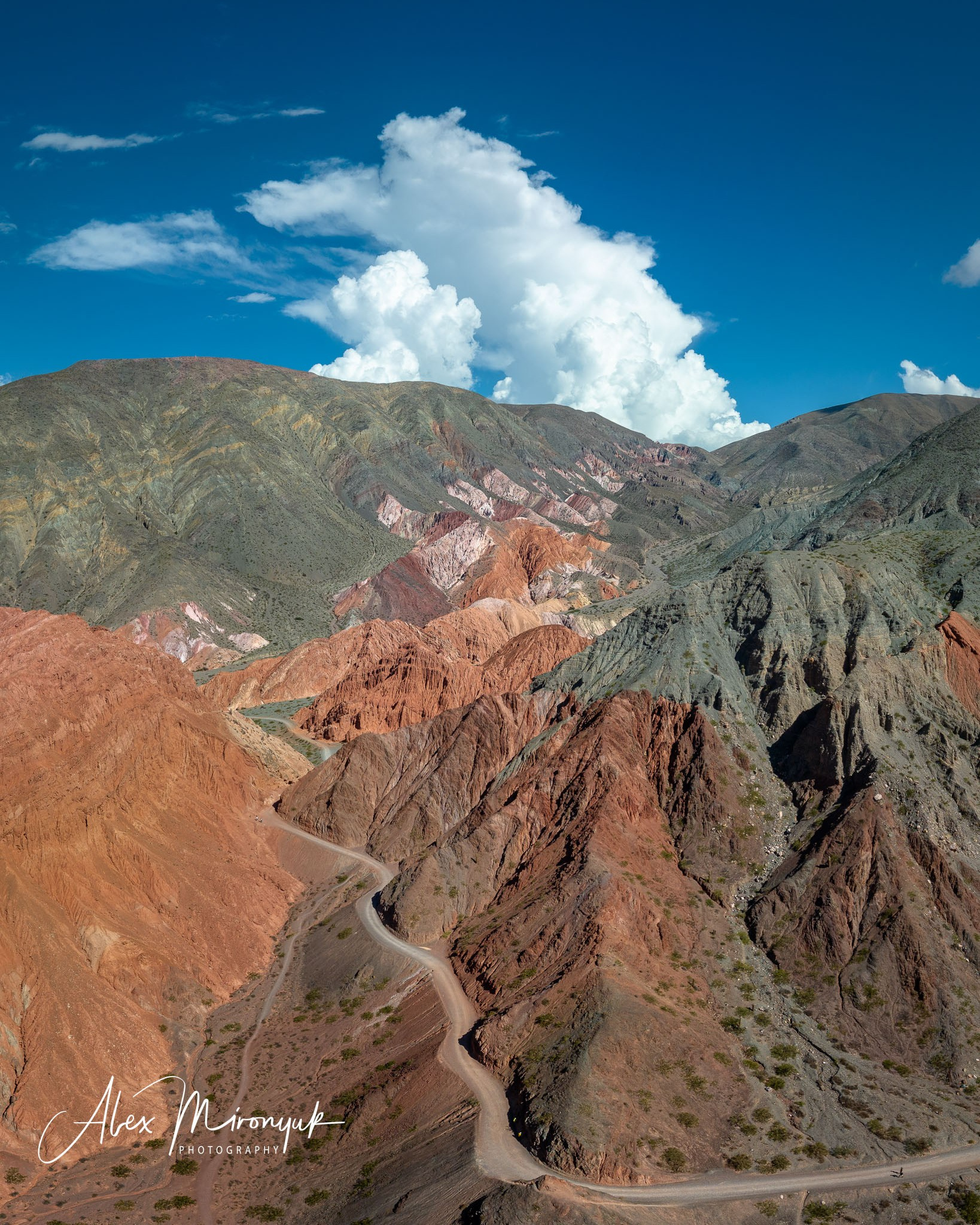 Unknown Northern Argentina. Pet, Senior, Landscape, portrait studio, photographer in Miami and Sou