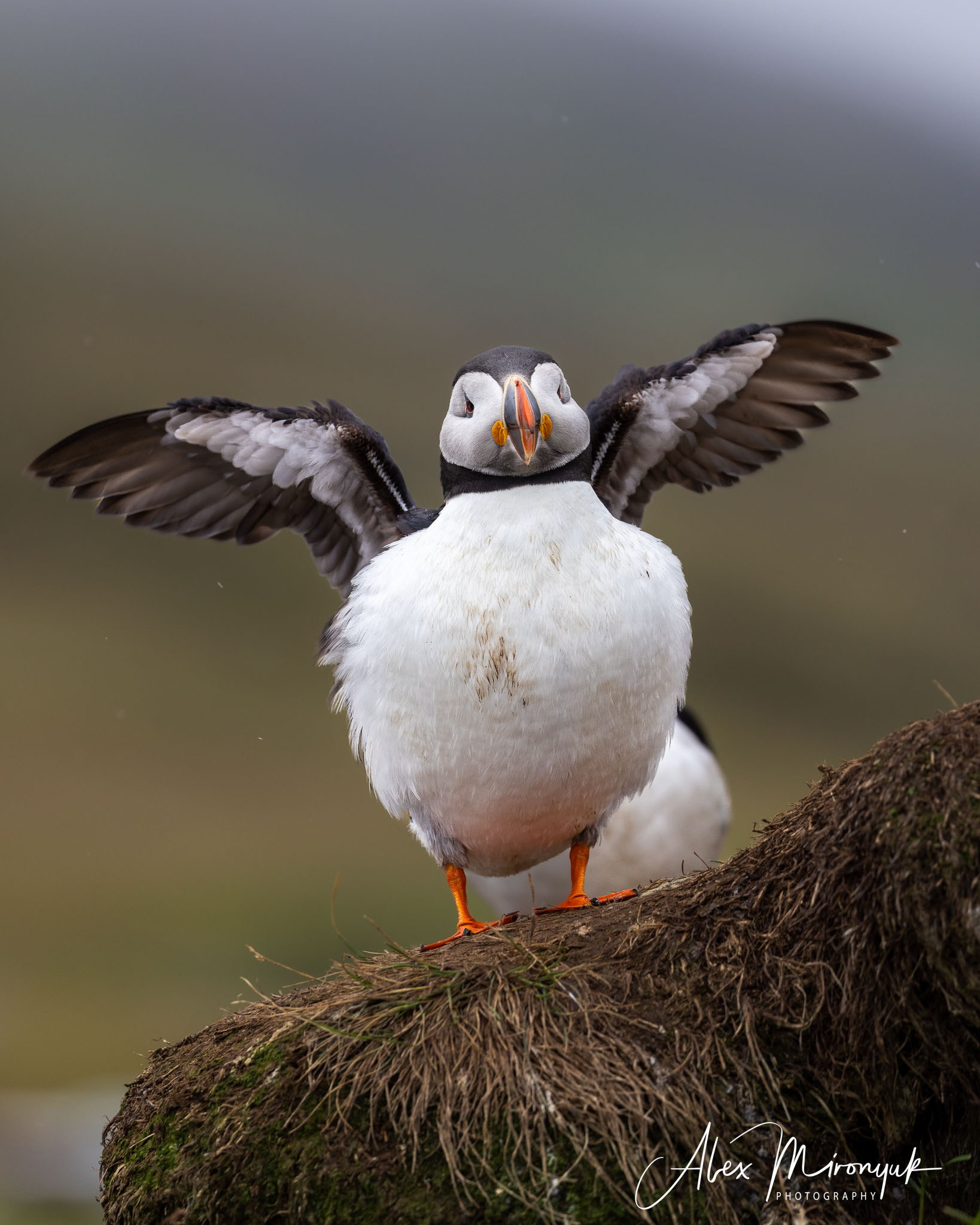 Unforgettable Iceland. Alex Mironyuk Photography
