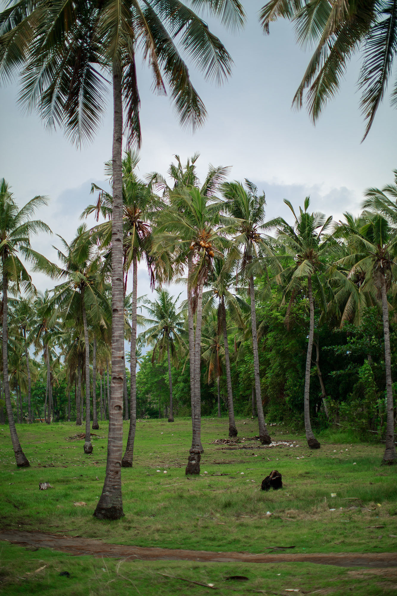 Bali - bazı fotoğraflar ve incelemeler içeren yerler