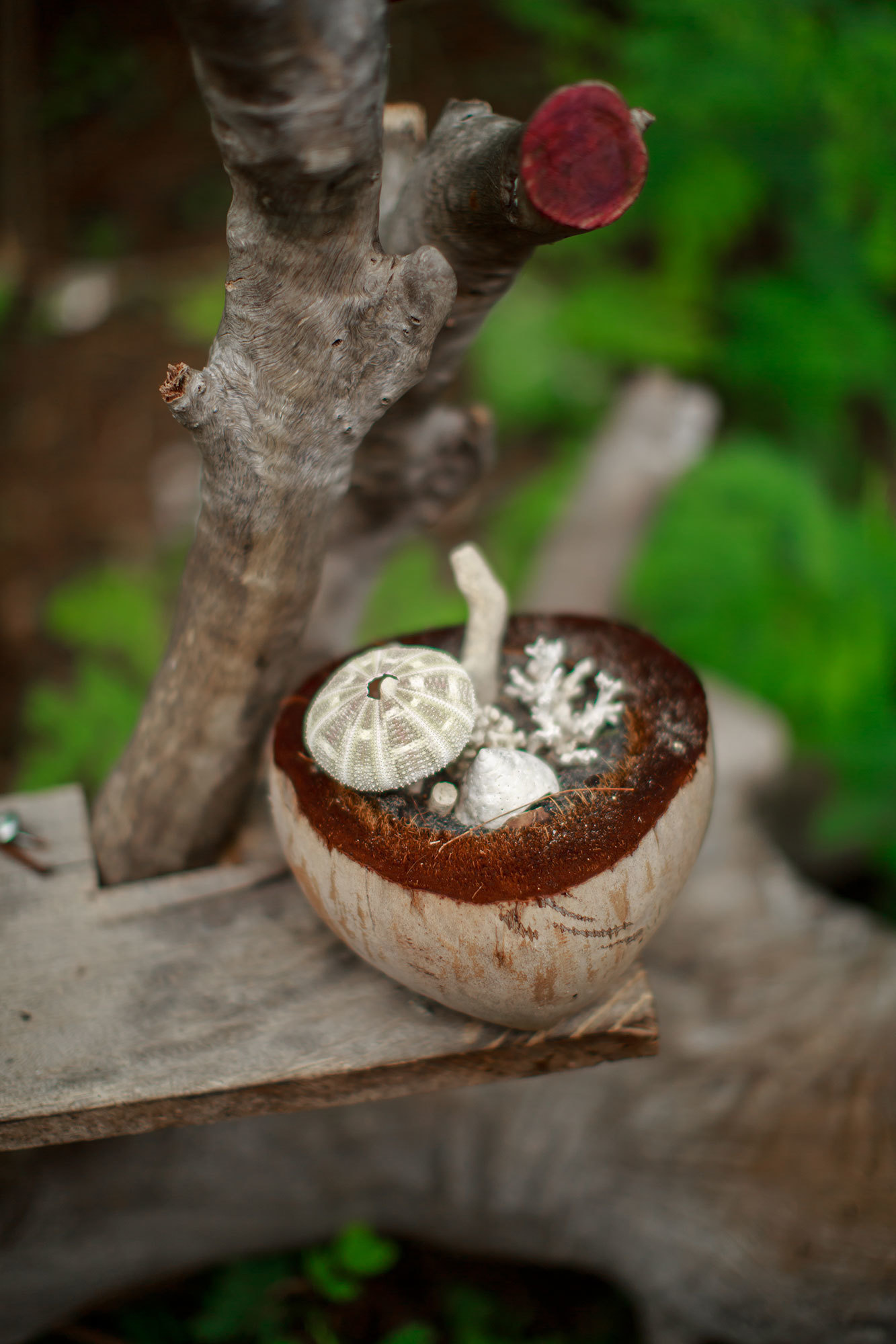 Bali - bazı fotoğraflar ve incelemeler içeren yerler