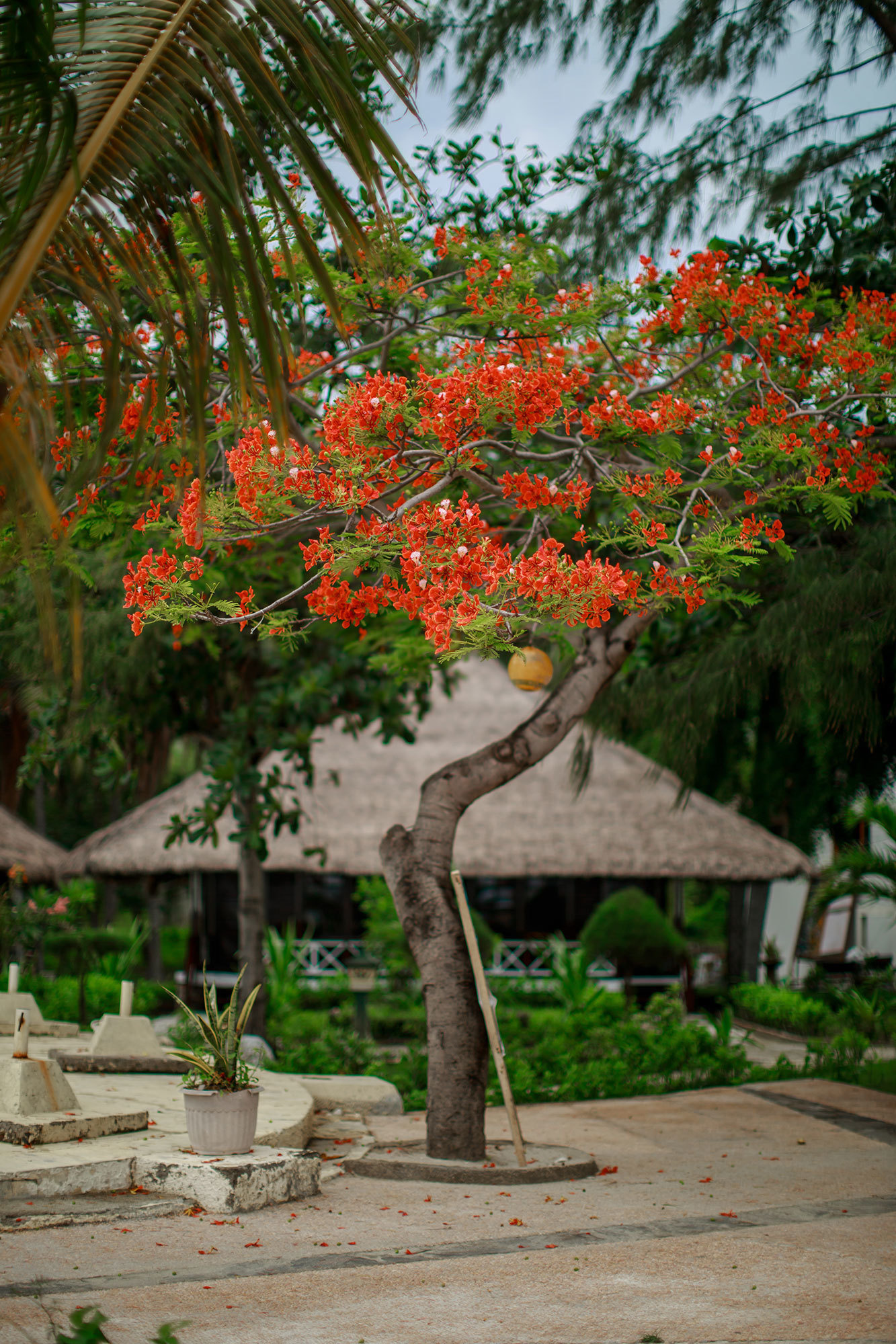 Bali - bazı fotoğraflar ve incelemeler içeren yerler