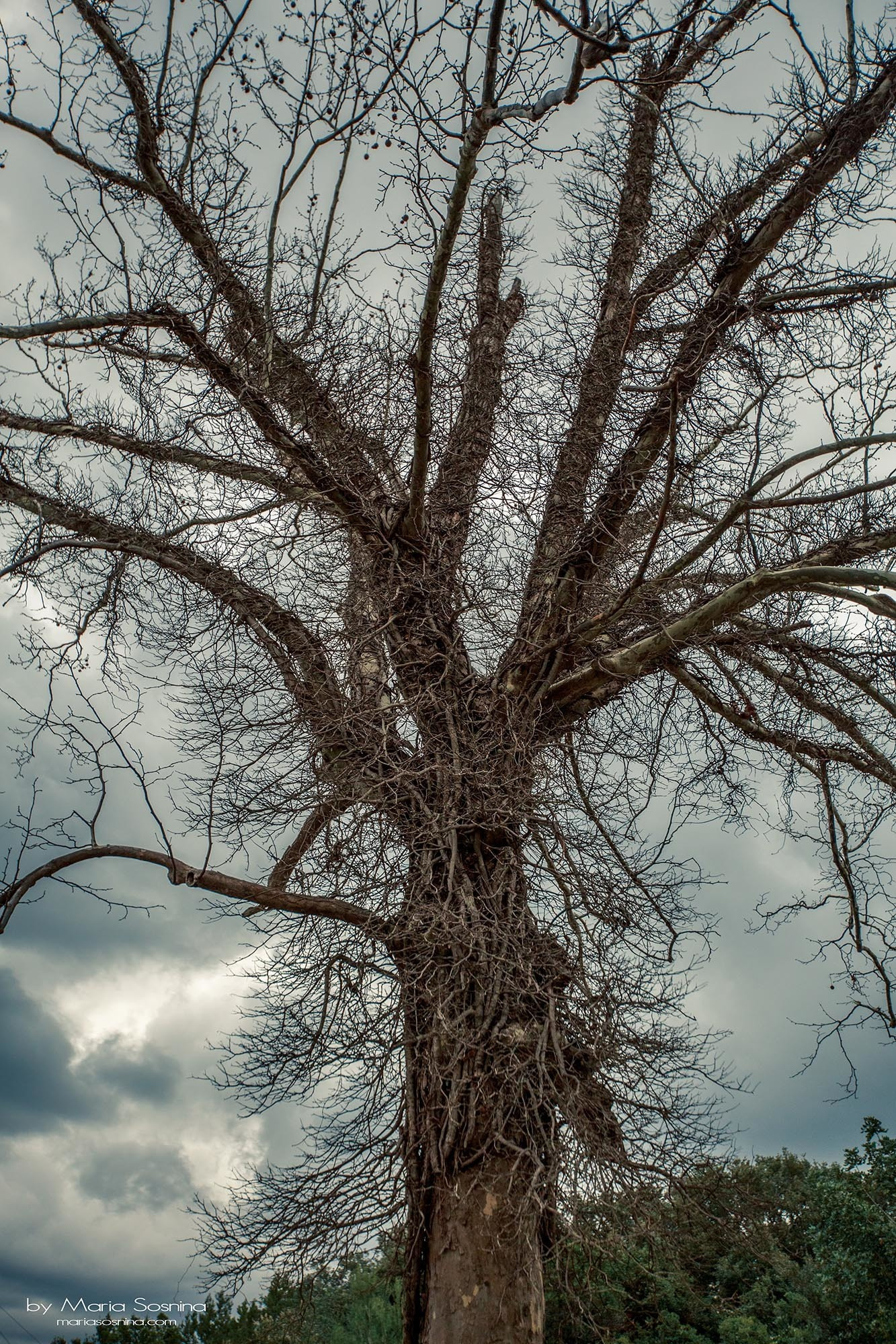 Militært fort på Lushtica-halvøya