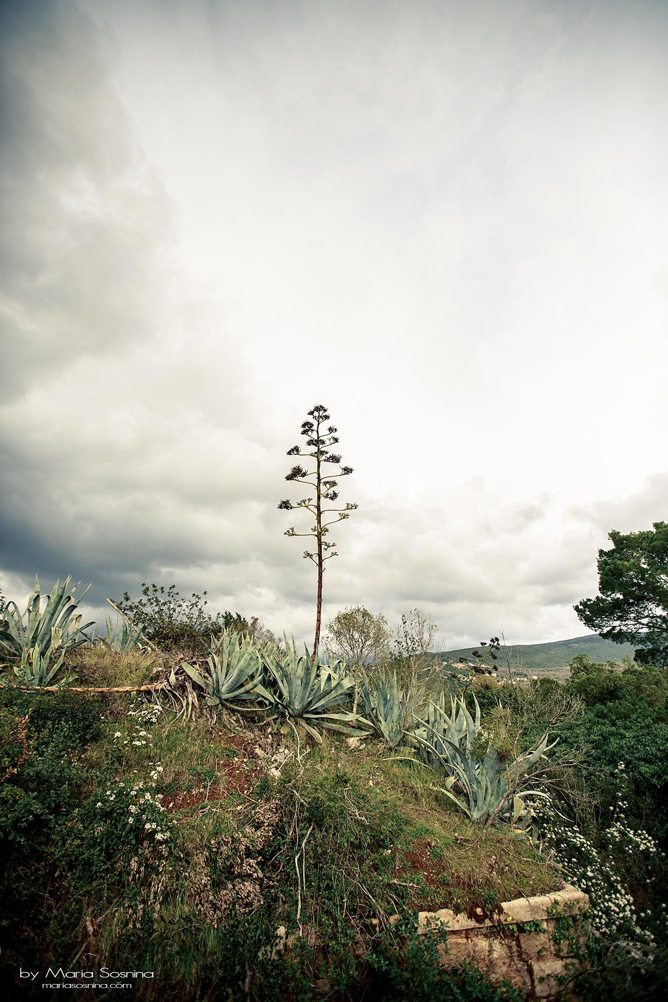 Militært fort på Lushtica-halvøya