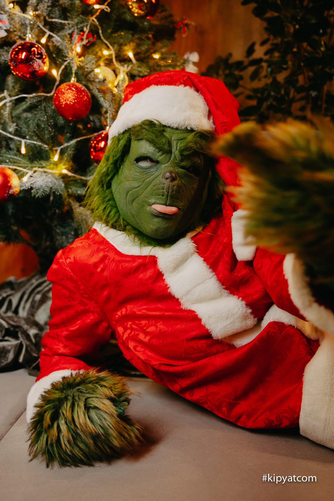 Фотоотчеты