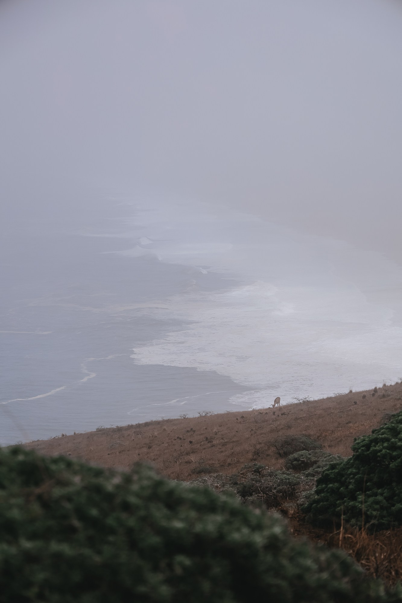 Print shop. Nailya Galibabayeva — San Francisco & Bay Area Photographer